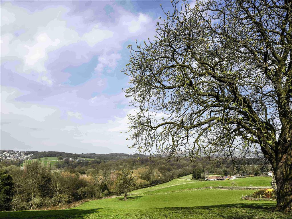 Mercure Bradford, Bankfield Hotel Bradford  Luaran gambar
